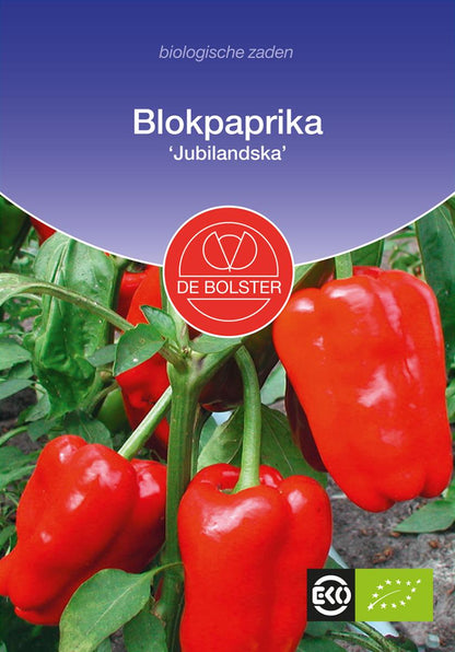 Blokpaprika 'Jubilandska' Biologisch