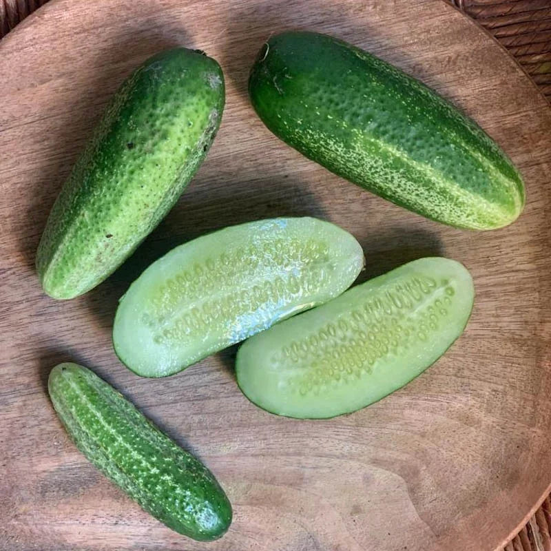 Snack komkommer Bushy Biologisch