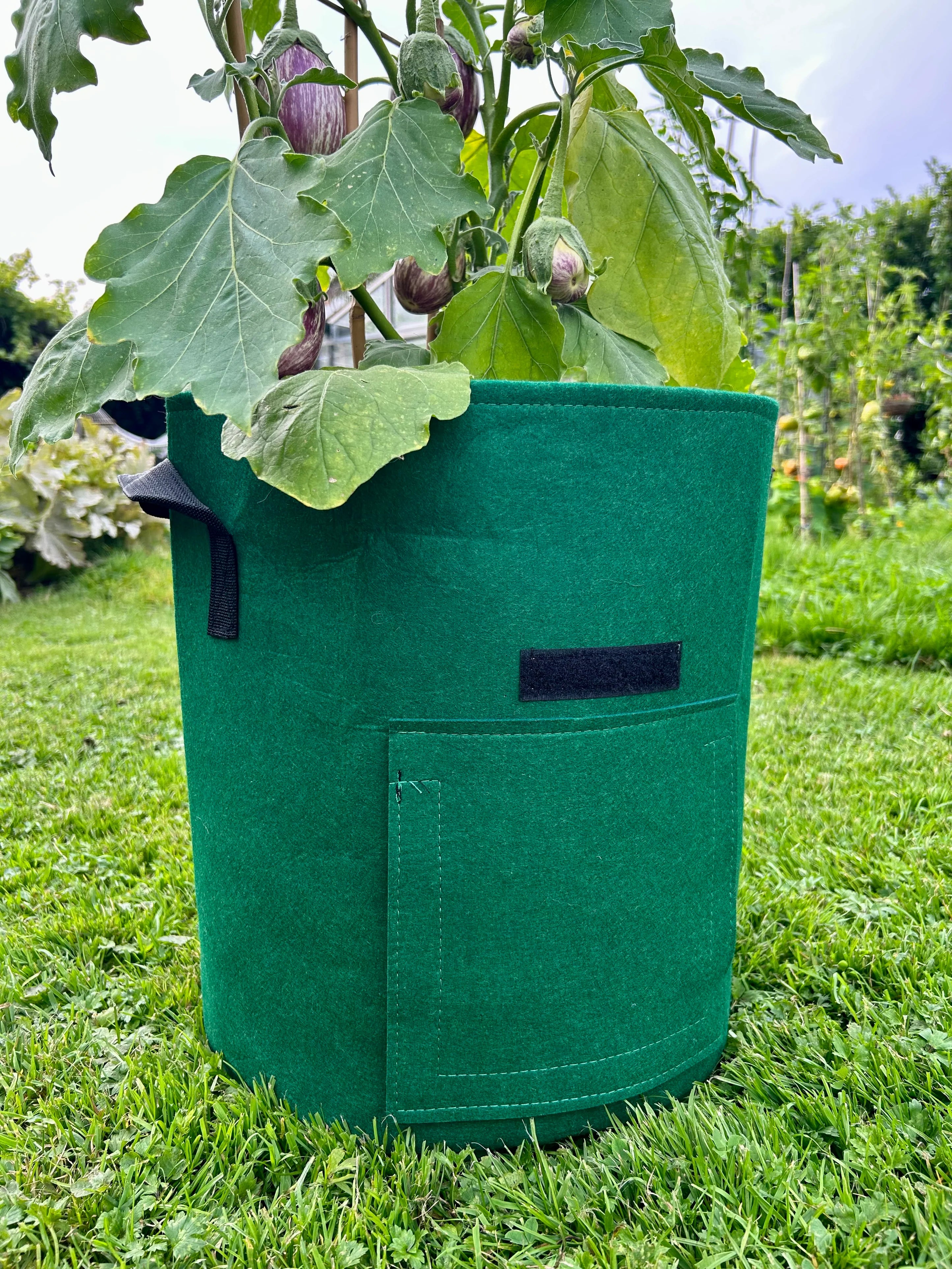 Feggies Grow Bag | 37 liter