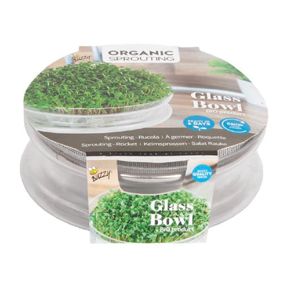 Organic Sprouting Glazen Bowl met Rucola