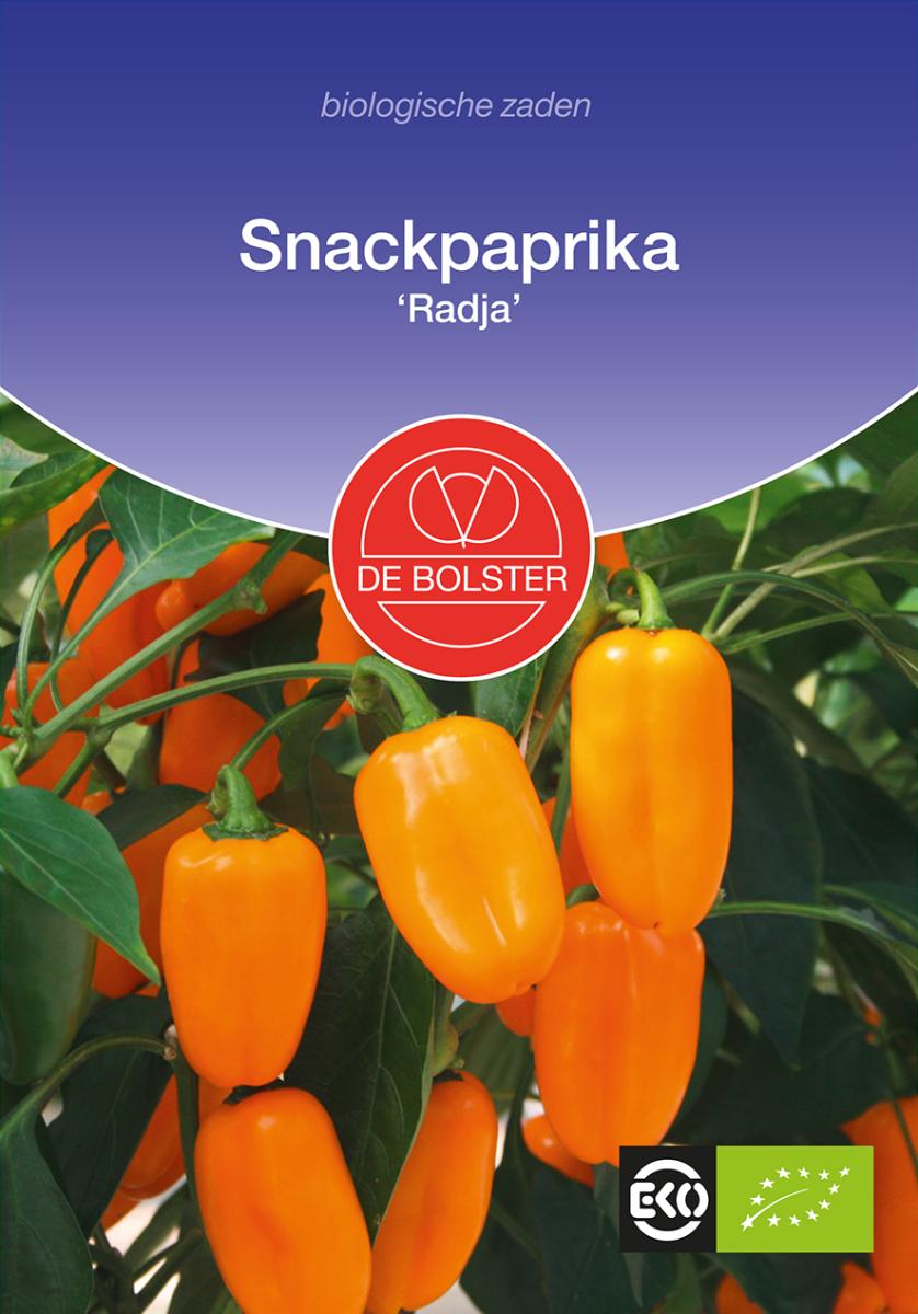 Snackpaprika 'Radja' Biologisch