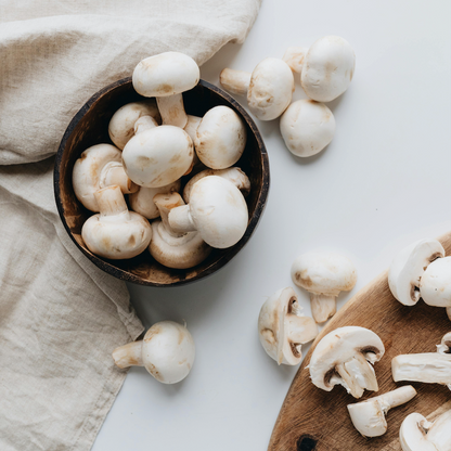 Biologische kweekset witte champignons 3L