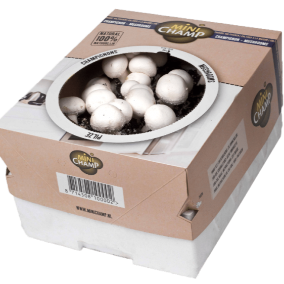 Biologische kweekset witte champignons 7,5L