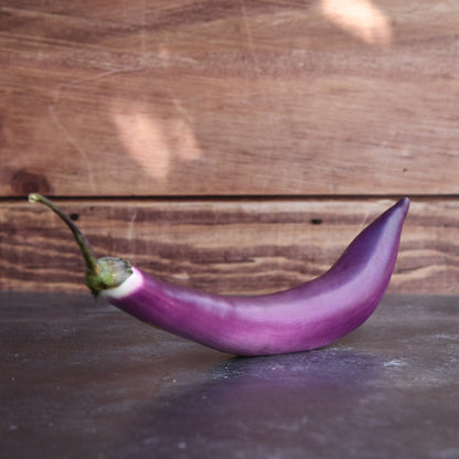 Aubergine Japanse Pickling zaden biologisch