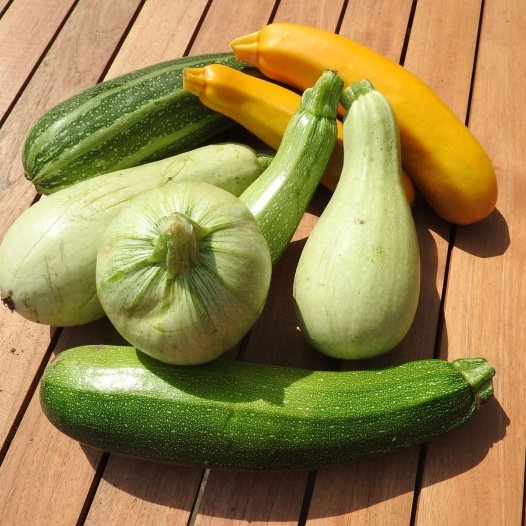 Courgette mengeling zaden biologisch