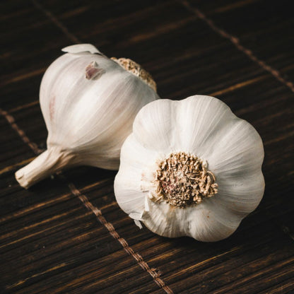 Knoflook roos lente Clédor biologisch