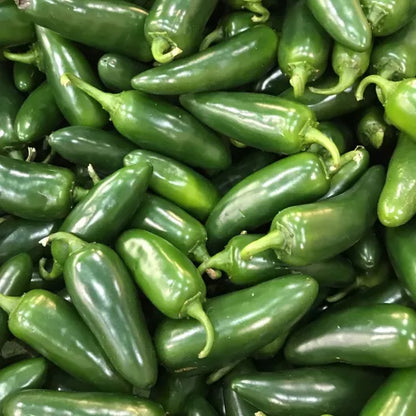 Jalapeño Peper zaden biologisch