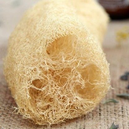 Pompoenspons Luffa zaden biologisch