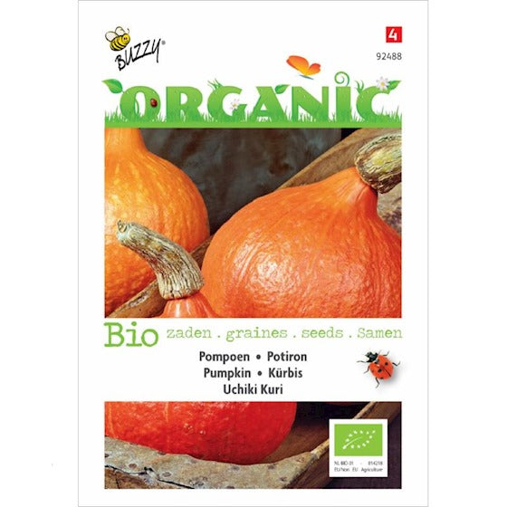 Organic Pompoen Uchiki Kuri zaden