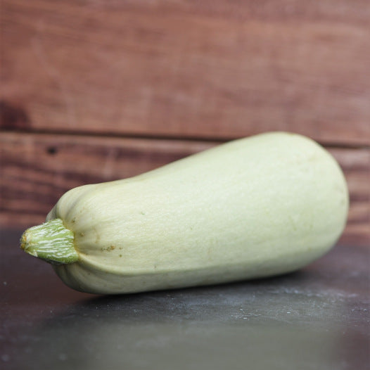 Courgette wit uit Egypte zaden biologisch