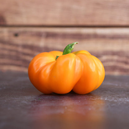 Paprika Mandarine zaden biologisch