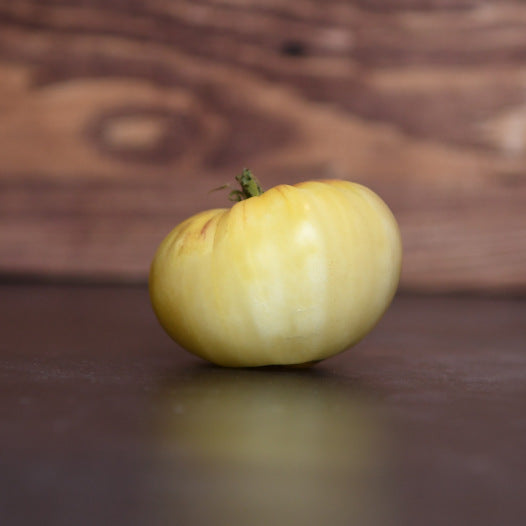 Tomaat Witte ster uit Antwerpen zaden